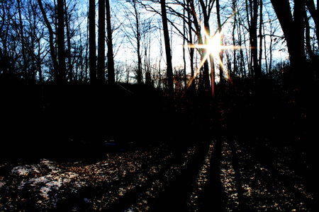 into the lightの写真素材