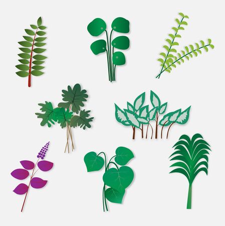 Different leaves collection,vector illustration paper art style.のイラスト素材