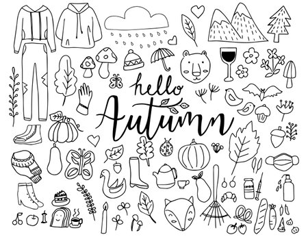 Set of animal in autumn cartoon doodle style,line hand drawn,vector illustration.のイラスト素材