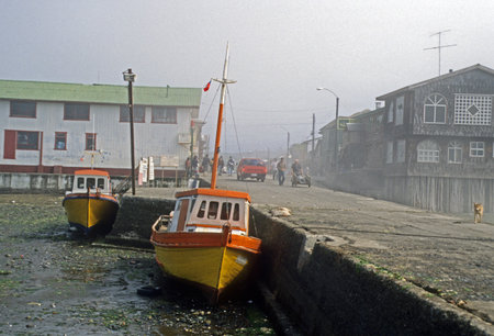 Extreme Low Tide  Chiloe Island  Chileのeditorial素材