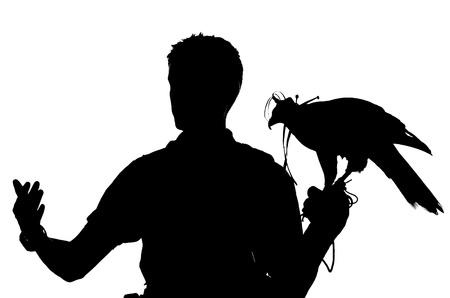 Hawkerの写真素材