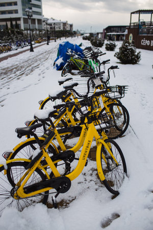 Immeretinskaya Embankment of Sochi after a winter snowfallのeditorial素材