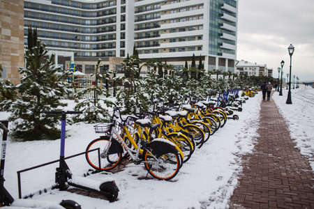 Immeretinskaya Embankment of Sochi after a winter snowfallのeditorial素材