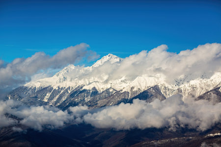 Snow-covered mountain ranges covered with coniferous forests in the clouds