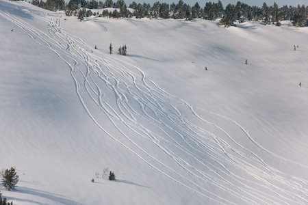 Snowy off-piste ski slope with traces of skis and snowboards on a winter day