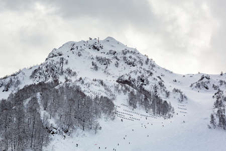 View of the snow-covered of Mount Rosa Peak at the Krasnaya Polyana ski resortの写真素材