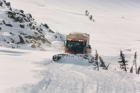 Ratrak rides among the trees pushing snow on a forest roadのeditorial素材