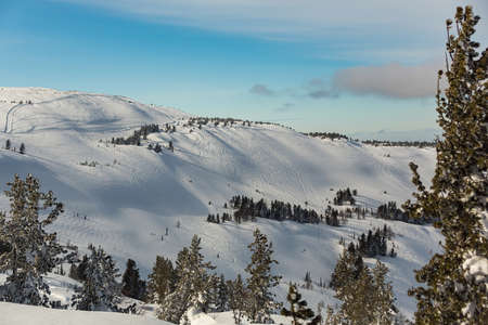 Snowy off-piste ski slope with traces of skis and snowboards on a winter dayの写真素材