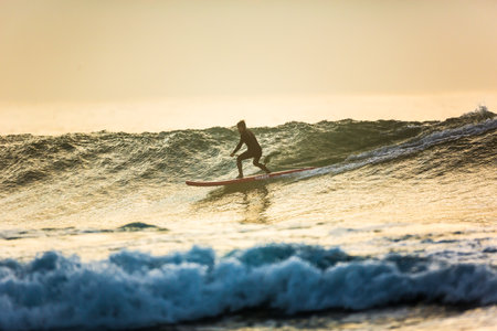A surfer with a paddle rides on the crest of a large wave with foam at dawnのeditorial素材