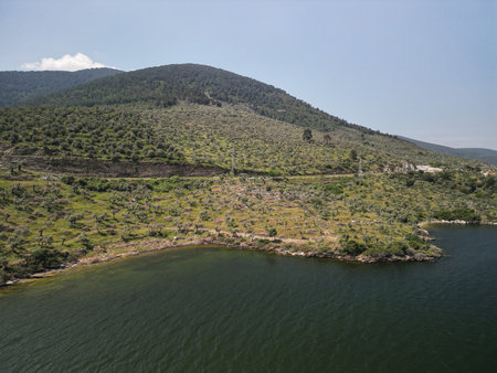 coastal olive slopes meeting the aegean at gokova bay, mugla province, Turkey
