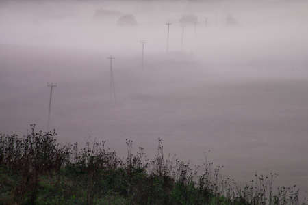 The fog covered the field, the poles stick out. A misty landscape in the early morning. Russia,の写真素材