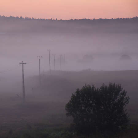 Pink dawn over the fields. Misty landscape with a line of pillars.の写真素材