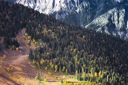 Mountains, the rays of the sun illuminate the forest in the mountains, patches of light, the autumn...