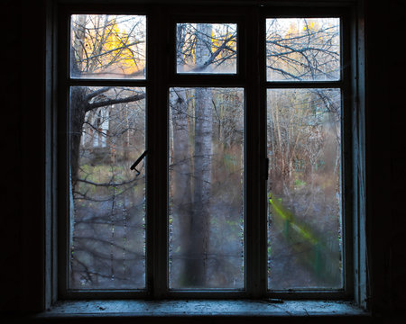 View from the window in an abandoned house through the wet glass at the trees. Dark background....