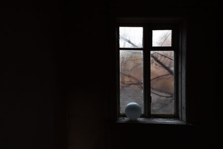 View from the window in an abandoned house through the wet glass at the trees. Dark background....