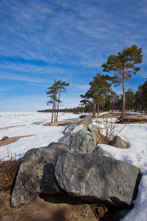 Stone boulder in the foreground and pine trees on the background of snow-capped Lake Baikal under the blue sky.の写真素材