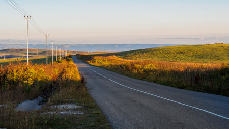 Road through the mowed fields in sunriseの写真素材