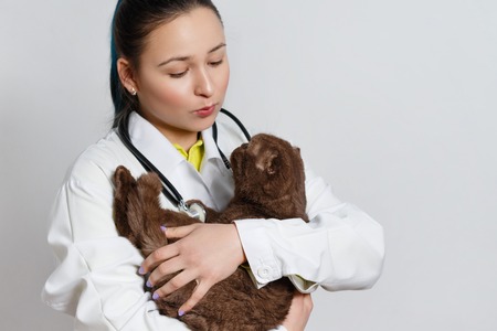 Cute funny kitty in hands at the woman veterinarian on white background.の写真素材