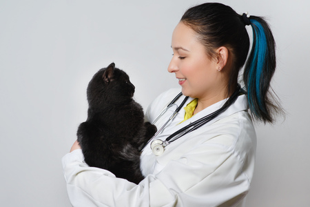 Cute funny kitty in hands at the woman veterinarian on white background.の写真素材