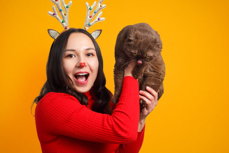 portrait of a cheerful girl in a red sweater and with deer horns lifts up a cute cat on a yellow backgroundの写真素材