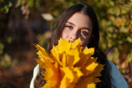 A happy young woman in an autumn park with a bunch of maple leaves in her handsの写真素材