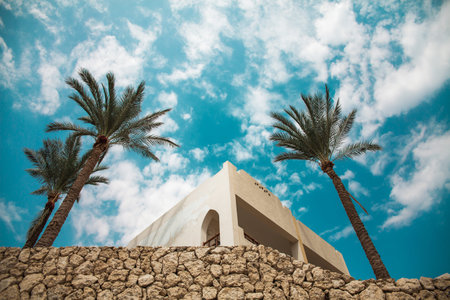 luxury Egyptian hotel with palm trees and blue sky