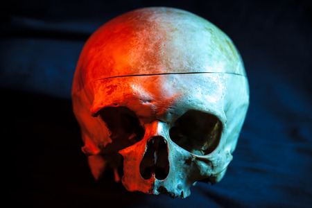 Sketch tattoo. To create tattoos.Human skull for a tattoo on a black background.Halloween backgroundの写真素材