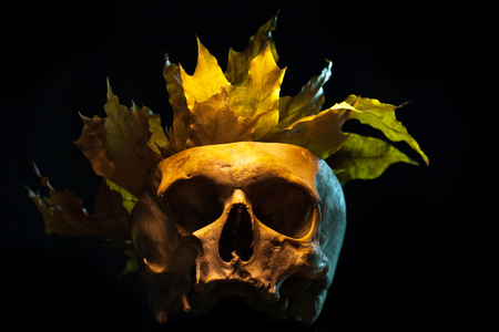 Sketch tattoo. To create tattoos.A human skull with a crown of leaves tattoo on a black background.Halloween backgroundの写真素材