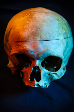 Sketch of tattoo. To create tattoos.Human skull For tattoo on black background.Halloween backgroundの写真素材