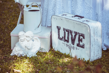 Beautiful white suitcase in nature. The concept of starting a new lifeの写真素材