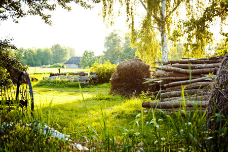 A haystack lies on the beautiful green lawn with birch trees and wicker fenceの写真素材