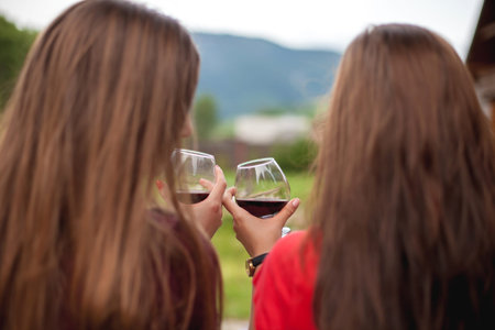 Two young women holding glasses with red wine. Photo from the backの写真素材