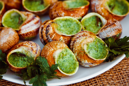 Escargots de Bourgogne - Snails with herbs butter, gourmet dish in French traditional  with parsley and bread on white platterの写真素材