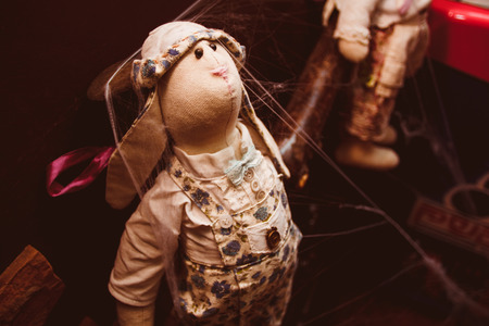 Beautiful autumn background for Halloween with a doll in webの写真素材