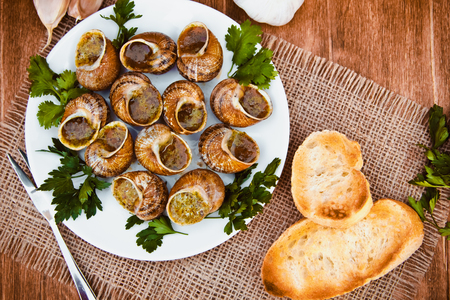 Escargots de Bourgogne - Snails with herbs butter, gourmet dish in French traditional  with parsley and bread on white platterの写真素材