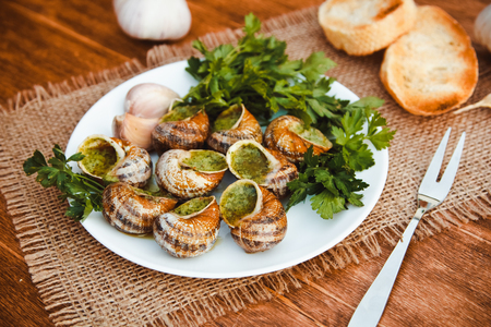 Escargots de Bourgogne - Snails with herbs butter, gourmet dish in French traditional  with parsley and bread on white platterの写真素材