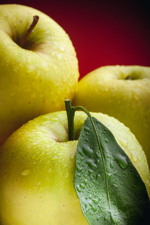 Large beautiful green apples with a leaf and water drops on a red backgroundの写真素材