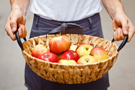 Ripe garden apples in a basket in female hands closeup. Selective focus,の写真素材