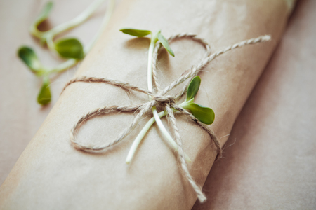 Fresh pita bread is associated with a thread with wheat germ on topの写真素材