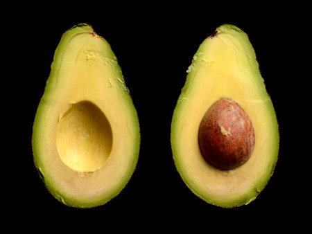 Two pieces of perfect avocado fuerte cut in half on black background.の写真素材