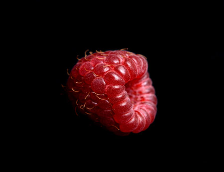 One raspberry berry on a black background. Macro