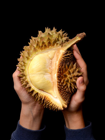 Ripe durian in the hands of a man on a black background
