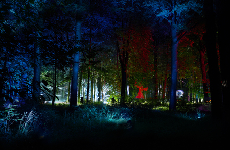 Night lights show "Inspiration" in Ostankino garden city park. Hundreds of lights in the forest. Amazing 3d light and laser illuminated trees, ghosts. Wonder world of light. Miracle ambientのeditorial素材