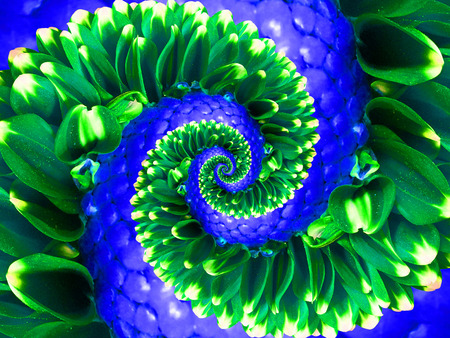 Green navy flower spiral abstract fractal effect pattern background. Floral spiral abstract pattern fractal. Incredible green blue flowers pattern round circle spirally incredible backgroundの写真素材