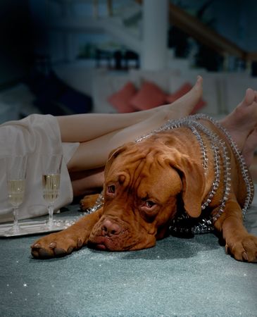 The dog and the woman lie on a carpetの写真素材