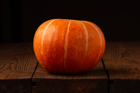 Still life with colorful small pumpkin on rustic wood background.の写真素材