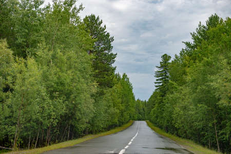 Road in Siberia in summerの写真素材