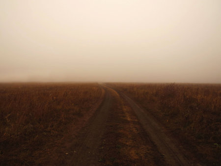 fog and a haystackの写真素材