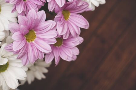 Background with an inscription field and a bright bouquet of gerberas in the corner. A bouquet of gerberas, creating an upbeat spring mood.の写真素材