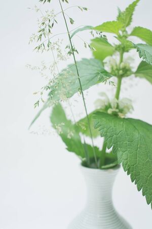 Bright colors of a hot summer. Bouquet of field and meadow plants. Bright green herbs.の写真素材